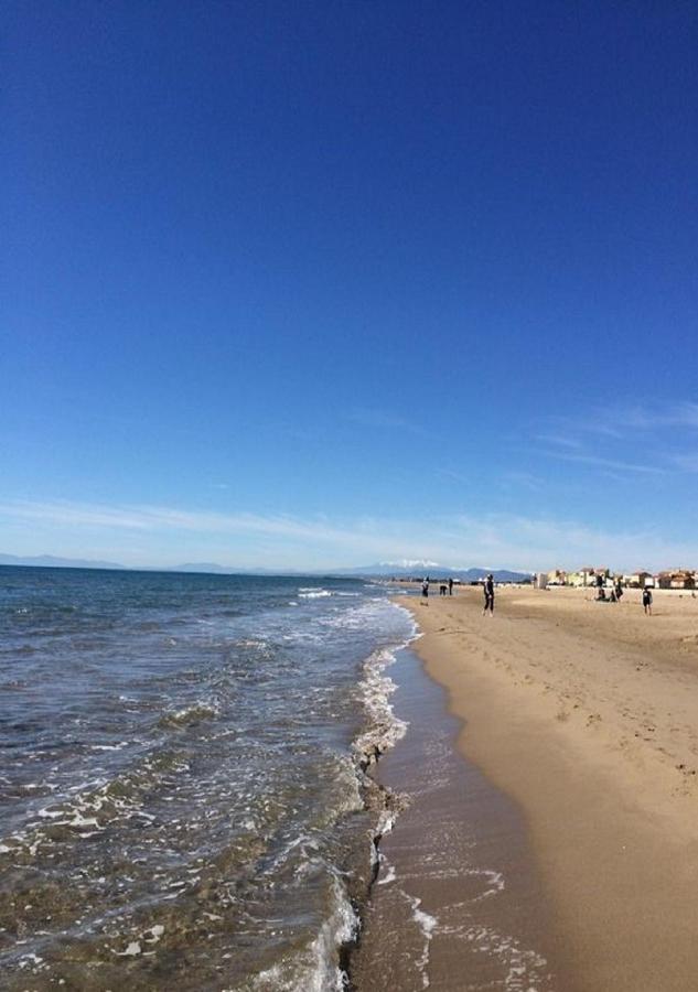La Perle Marine, Luxe Et Raffinement, Appartement T4 Front De Mer Narbona Zewnętrze zdjęcie